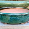 Green Oval Glazed Bonsai Pot