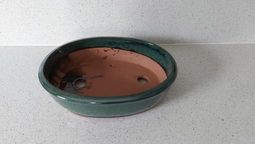 Green Oval Glazed Bonsai Pot (20cm) 3 WhatsApp Image 2022 04 18 at 16.42.12 scaled