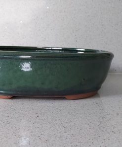 Green Oval Glazed Bonsai Pot (26cm) 6 WhatsApp Image 2022 04 18 at 16.42.13