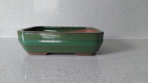 Green Rectangle Glazed Bonsai Pot (26cm) 2 WhatsApp Image 2022 04 18 at 16.57.01 scaled