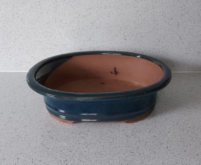 Blue Oval Glazed Bonsai Pot (26cm) 1 WhatsApp Image 2022 04 18 at 17.44.11 scaled e1650300517401