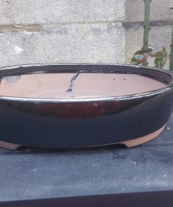 Black Glazed Oval Bonsai Pot (31cm) 6 WhatsApp Image 2022 04 04 at 16.42.59 1