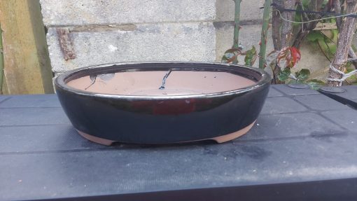 Black Oval Glazed Bonsai Pot (26cm) 3 WhatsApp Image 2022 04 04 at 16.42.59 1 scaled
