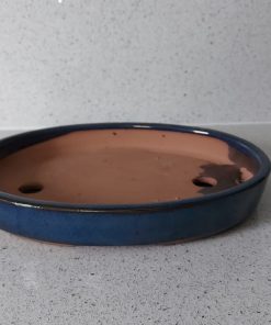 22cm Shallow Blue Oval Glazed Bonsai Pot (SMALL) 5 WhatsApp Image 2022 04 18 at 18.03.12