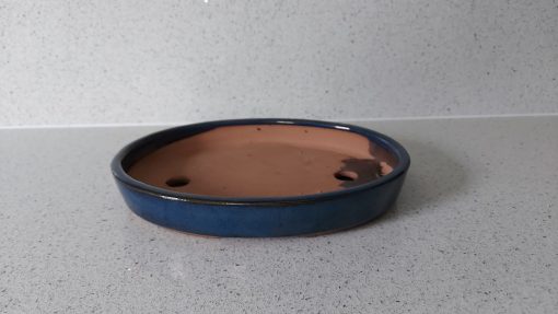 22cm Shallow Blue Oval Glazed Bonsai Pot (SMALL) 3 WhatsApp Image 2022 04 18 at 18.03.12 scaled