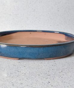 22cm Shallow Blue Oval Glazed Bonsai Pot (SMALL) 6 WhatsApp Image 2022 04 18 at 18.03.13