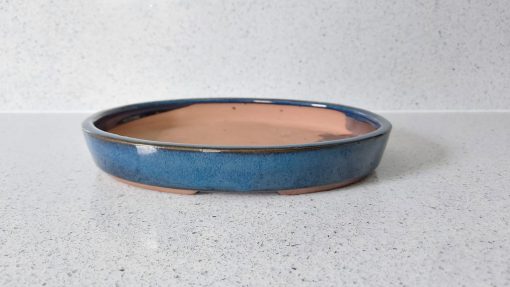 22cm Shallow Blue Oval Glazed Bonsai Pot (SMALL) 4 WhatsApp Image 2022 04 18 at 18.03.13 scaled