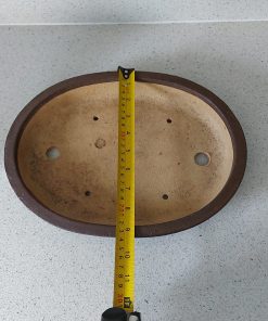 24cm Used Shallow High Quality Rectangle Unglazed Bonsai Pot 12 WhatsApp Image 2022 05 18 at 2.02.52 PM